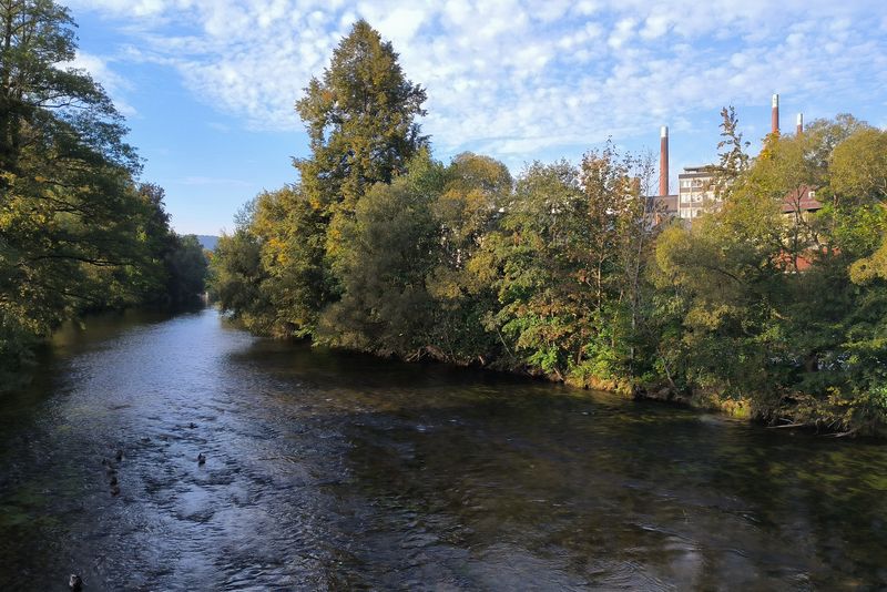 Über den 'Großen Regen' in Zwiesel